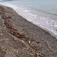 Ocean Shores, WA (east view)