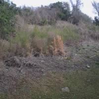 Rosemont Community, Whaley Way, Charleston, SC