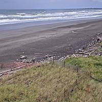 Westport, WA (north view)